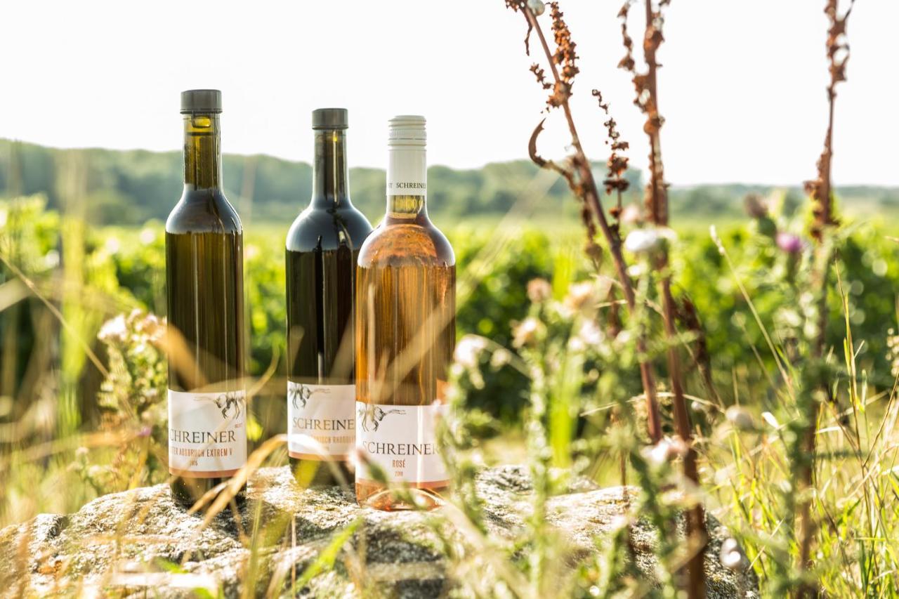 Wohnatelier Im Bioweingut Lägenhet Rust Exteriör bild