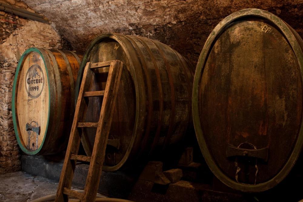 Wohnatelier Im Bioweingut Lägenhet Rust Exteriör bild