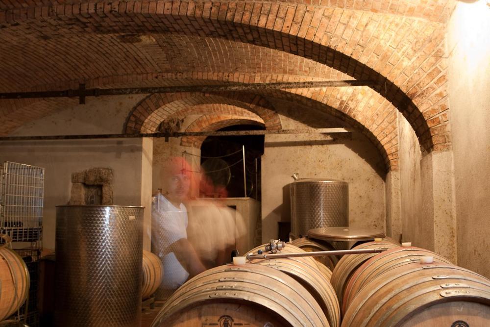 Wohnatelier Im Bioweingut Lägenhet Rust Exteriör bild