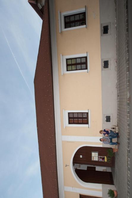 Wohnatelier Im Bioweingut Lägenhet Rust Exteriör bild